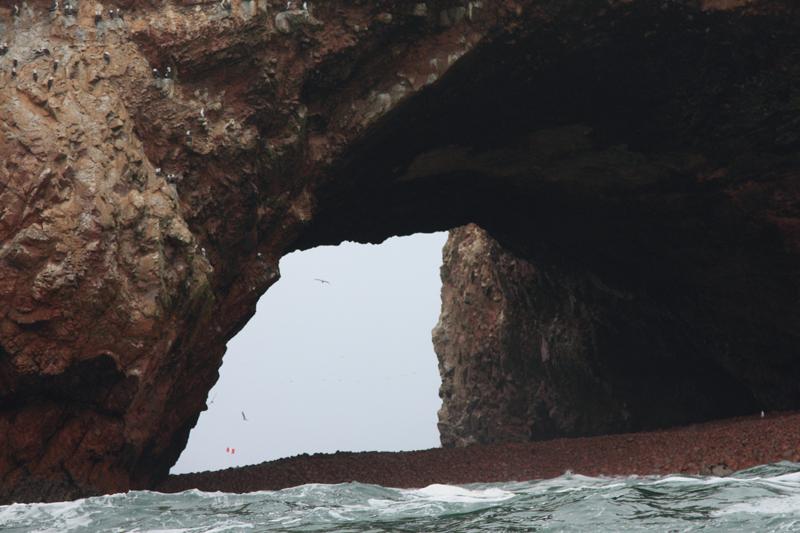 1177-Isole Ballestas,19 luglio 2013.JPG